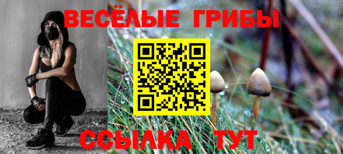Мичуринск  Псилоцибиновые грибы ЛСД  что такое наркотик  Вход с VPN 