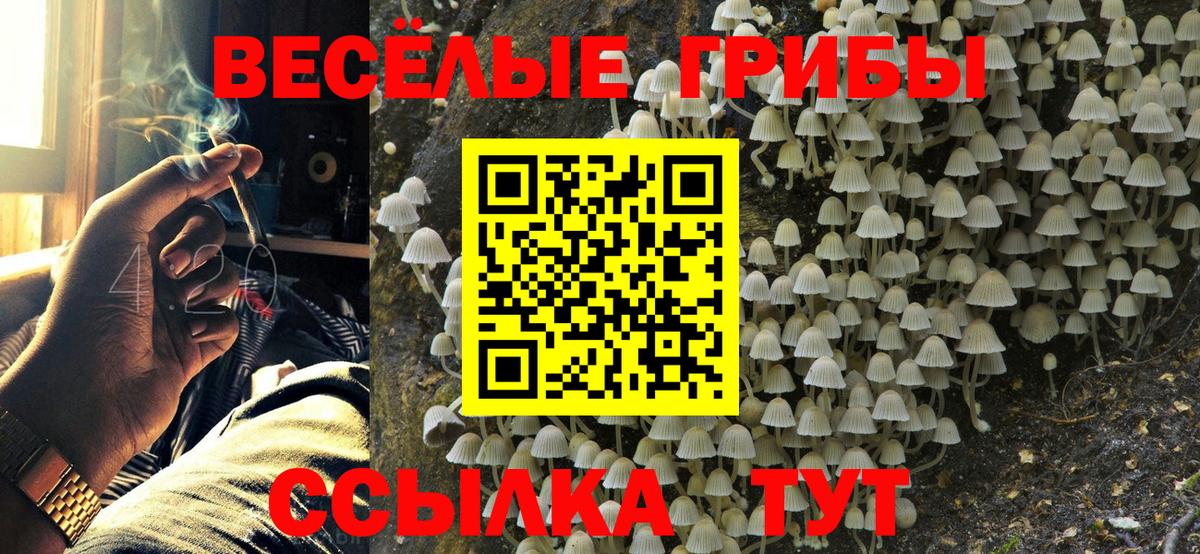 Галлюциногенные грибы Magic Shrooms Мичуринск